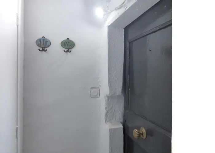 T3 Meuble Centre Donnant Sur Jardin *