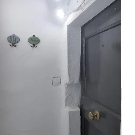 T3 Meuble Centre Donnant Sur Jardin *