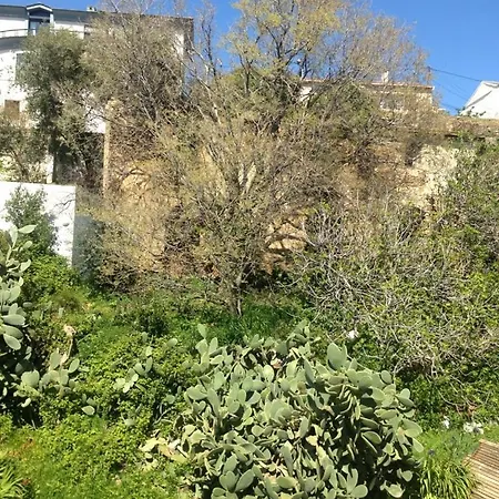 T3 Meuble Centre Donnant Sur Jardin *