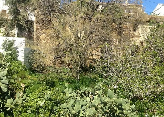 T3 Meuble Centre Donnant Sur Jardin *